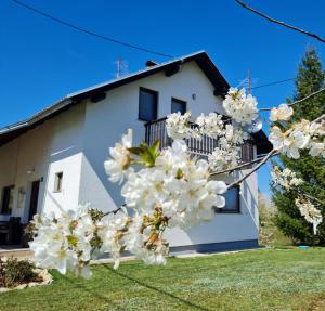 una casa con flores blancas delante de ella en Apartment Charlie, en Selište Drežničko