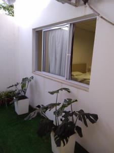Zahrada ubytování Bienvenidos a mi casa
