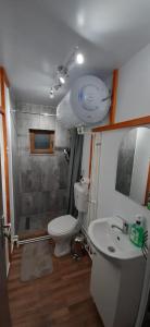 uma casa de banho com um WC, um lavatório e um chuveiro em Casuta dintre brazi - Valea Doftanei - 2 camere em Valea Doftanei