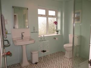 a bathroom with a sink and a toilet at The Lawns B & B in Budleigh Salterton