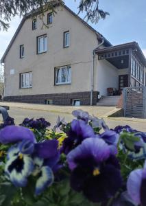 a house with purple flowers in front of it at Agroturystyka Nad Bobrem in Pilchowice