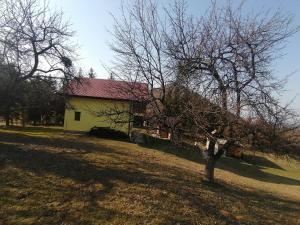 a yellow house with a tree in front of it at Zuta Kuca Sunca in Visoko