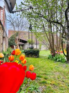 Vonkajšia záhrada v ubytovaní Au petit Jardin Sézannais