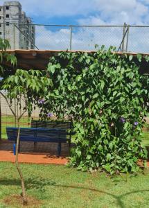 a large green bush next to a bench at Ap confortável prox USP-HC fácil acesso Arena EUROBIKE , estacionamento e wifi 400 mega in Ribeirão Preto