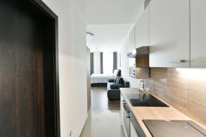 Kuchyňa alebo kuchynka v ubytovaní Apartmány Na Náměstí 85
