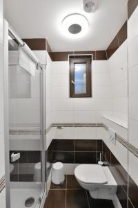 Kúpeľňa v ubytovaní Apartmány Na Náměstí 85
