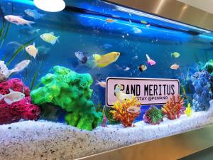 een aquarium met kleurrijke vissen en riffen erin bij Grand Meritus Homestay @Penang in Perai