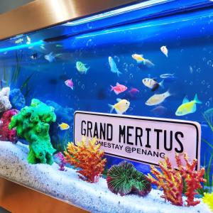 um grande aquário com um sinal que lê a abertura do grande inquérito ao merivirusirus em Grand Meritus Homestay @Penang em Perai