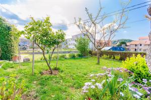 Zahrada ubytování Apartments Mijatovic