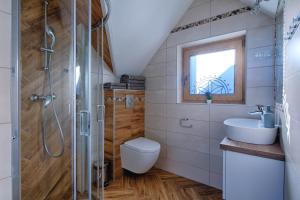 a bathroom with a shower and a toilet and a sink at Domki na Skałach Centrum Zakopane in Zakopane