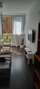 Televízia a/alebo spoločenská miestnosť v ubytovaní Na Leśnej