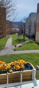 Príroda v okolí apartmánu