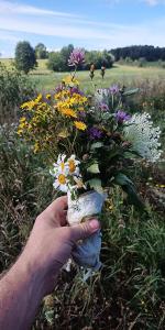 una persona sosteniendo un ramo de flores en un campo en Rent a tent - Namiot w Praekologicznym gospodarstwie en Pozezdrze