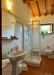 a bathroom with a shower and a sink and a toilet at CASA PARTINGOLI in Pian dei Cerri