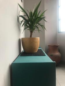 una mesa verde con una maceta encima en Hostal del Milagro en Salta