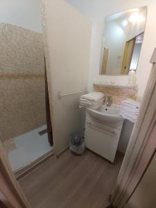 a bathroom with a shower and a sink and a mirror at La chaumiere in Seyne +11 photos