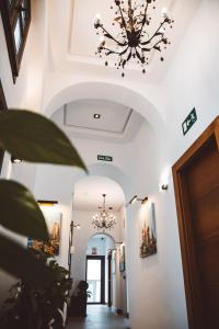 Fotografie z fotogalerie ubytování Ferreira Hostal Boutique v destinaci Conil de la Frontera