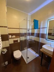 a bathroom with a shower and a toilet and a sink at Stary Piernik in Grzybowo +58 photos