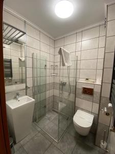 Kylpyhuone majoituspaikassa Stary Piernik