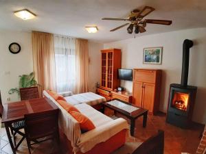 Μια τηλεόραση ή/και κέντρο ψυχαγωγίας στο Holiday home in Saftici 26679