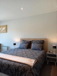 una camera da letto con un grande letto con due cuscini di "Le Studio" Parking Restauration Netflix et Jacuzzi Proche des grands lacs a Montmorency-Beaufort