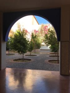 南面住宿加早餐旅館室外花園
