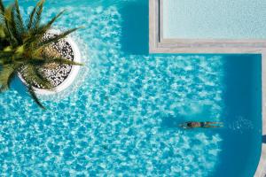 a fish in a swimming pool next to a palm tree at Negroponte Resort Eretria in Eretria