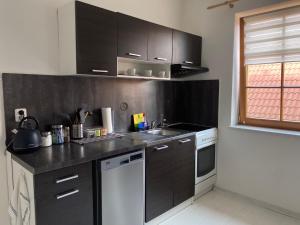 Kuchyň nebo kuchyňský kout v ubytování Apartmán Šimon + 3 fotografie