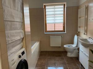 baño con aseo y lavabo y ventana en Apartmán Šimon en Cheb