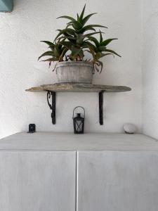 a plant in a pot on a shelf on a wall at Patras Rooms est 1990 in Fournoi +76 photos