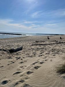 a beach with footprints in the sand and the ocean at Studio vue port, parking privé, terrasse, clim in Le Grau-du-Roi