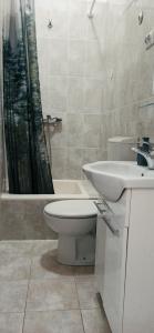 斯普利特的住宿－Studio Apartment Nika FREE PARKING，浴室配有卫生间、盥洗盆和淋浴。