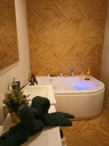 een badkamer met een groen knuffeldier op een wastafel bij Apartament z Sauna i Jacuzzi in Radom