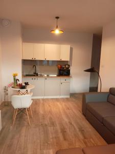 een woonkamer met een bank en een keuken bij Apartament z Sauna i Jacuzzi in Radom