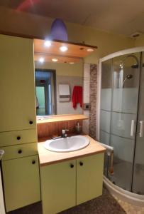 uma casa de banho com um lavatório e um chuveiro em La Vie Est Belle, Chambre privée dans une villa em Trets