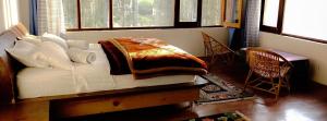 a bedroom with a bed in a room with windows at Ladakh Eco House in Leh