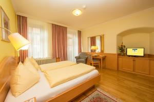 Televízia a/alebo spoločenská miestnosť v ubytovaní Hotel Lebzelter