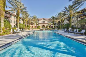 a swimming pool with chairs and palm trees at Luxury Golf Retreat in St. Augustine