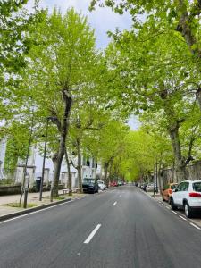 eine leere Straße mit Bäumen und Autos, die darauf geparkt sind in der Unterkunft Hotel Royal Suite Santander in Santander