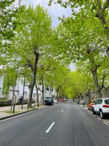 an empty street with trees and cars parked on it at Hotel Royal Suite Santander in Santander