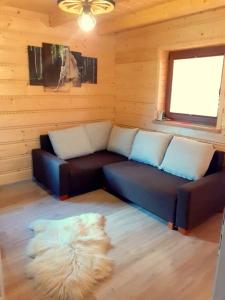 a living room with a couch and a window at Domek na Leśnej in Łapsze Niżne
