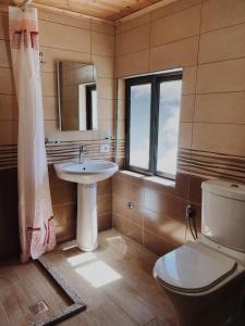 Koupelna v ubytování Guesthouse Pashko