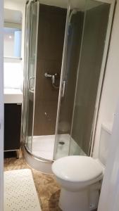 ロンドンにあるシェパーズ ブッシュ フラットのバスルーム(シャワー、トイレ、洗面台付)