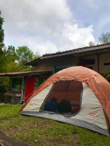 une tente assise dans l'herbe devant une maison dans l'établissement Ecofinca Salento, à Salento