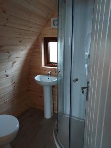 a bathroom with a shower and a sink and a toilet at Arranmore Glamping in Aphort