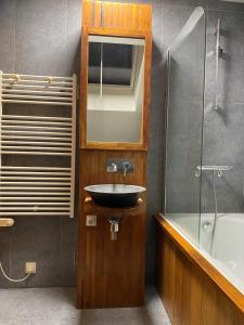 uma casa de banho com um lavatório e um espelho em Mon petit cocon em Jalhay