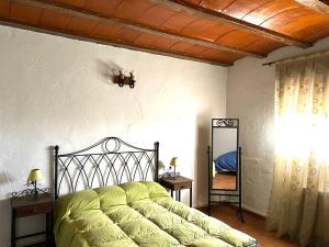 um quarto com uma cama verde e um espelho em Los baladres em Caudete