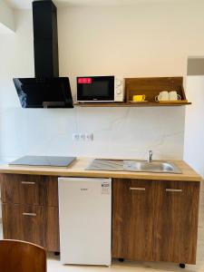 a kitchen with a counter with a sink and a microwave at Pension VIDHOUS 2 in Františkovy Lázně