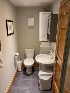 un bagno con un water e un lavandino di The Bothy at Ivy Cottage a Haltwhistle