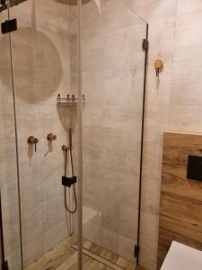 a shower with a glass door in a bathroom at APARTAMENT nad MOTŁAWĄ LUŚKA in Gdańsk